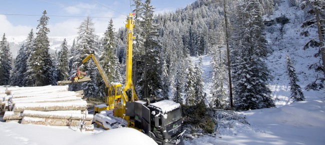 Holzschlägerung Pongau Forstbetrieb Martin Laireiter Großarl